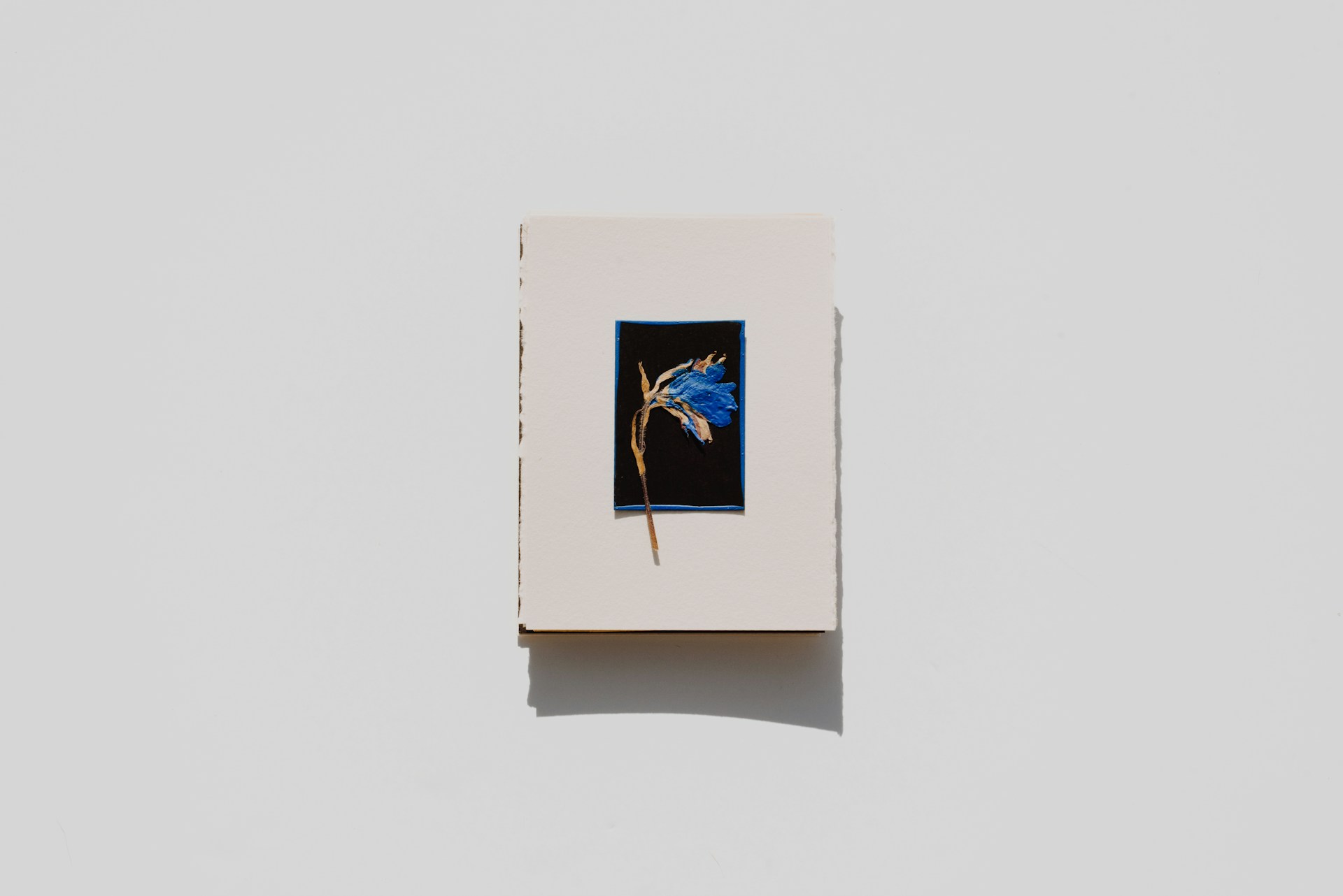 Blog Cover
